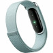 Фитнес-браслет Google Fitbit Air (Серо-голубой/Fog) в Симферополе