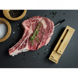 Термометр со щупом Meater Plus для мяса